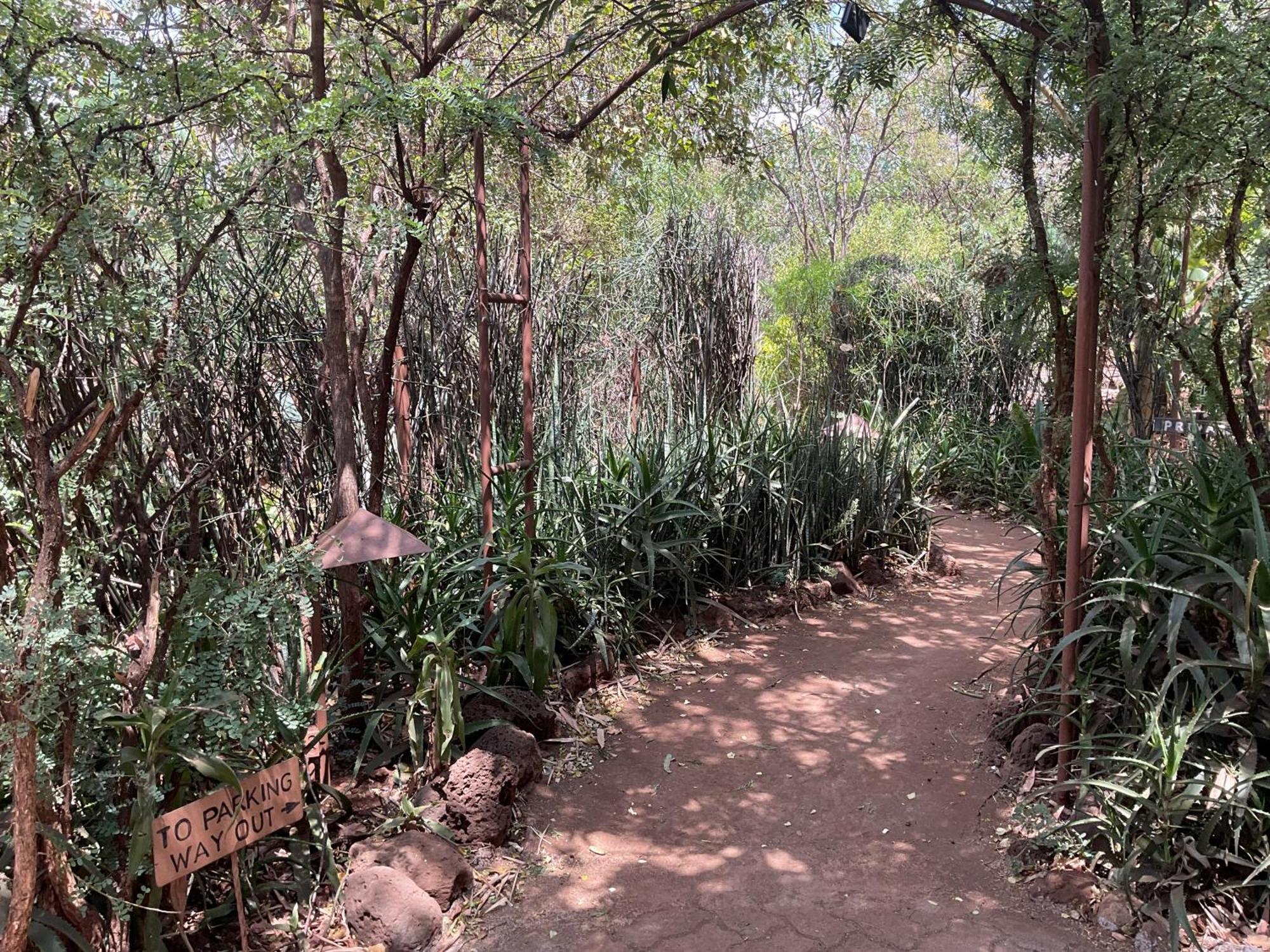 Ikweta Safari Camp Luxury tent