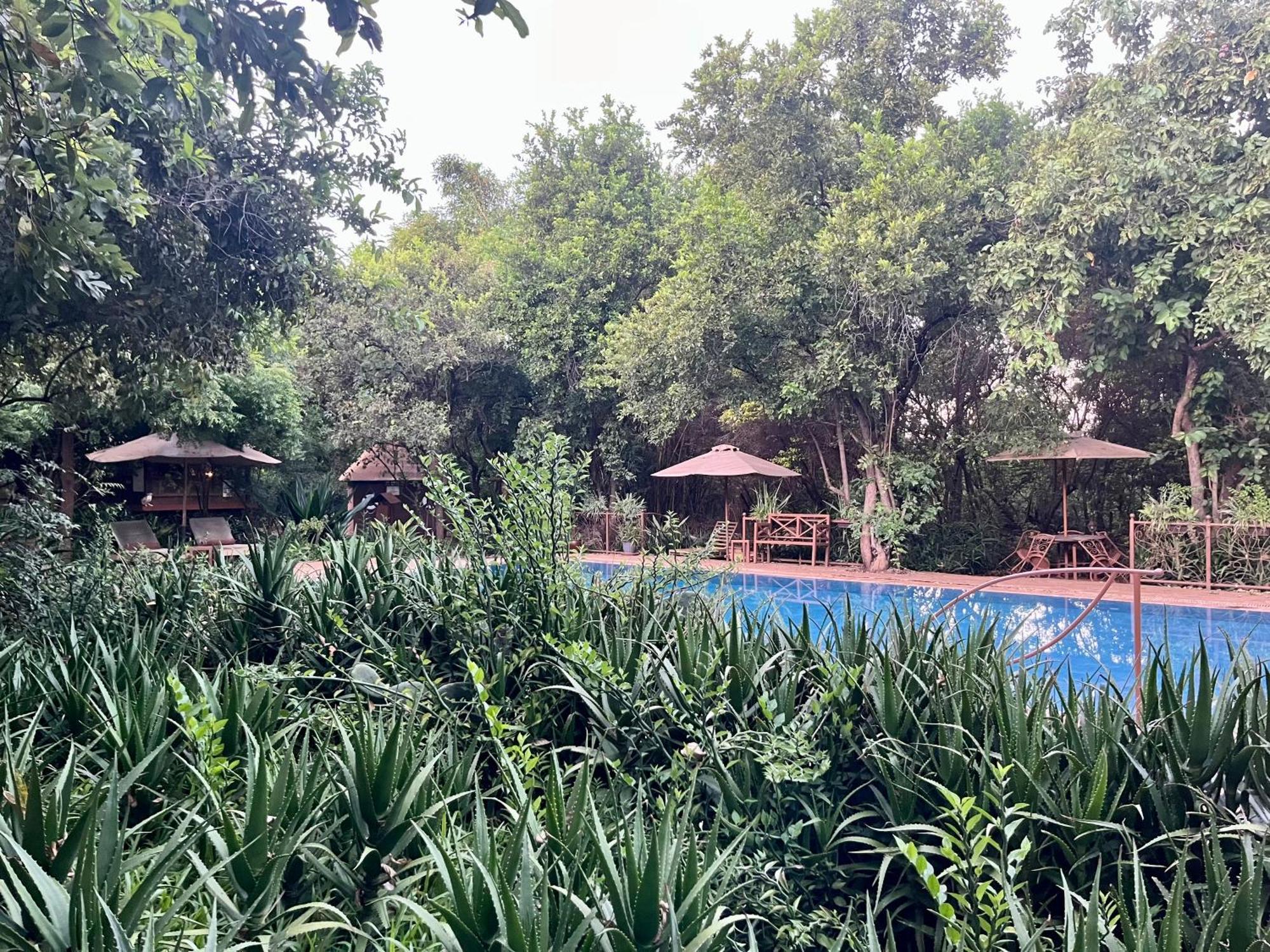 Ikweta Safari Camp Luxury tent